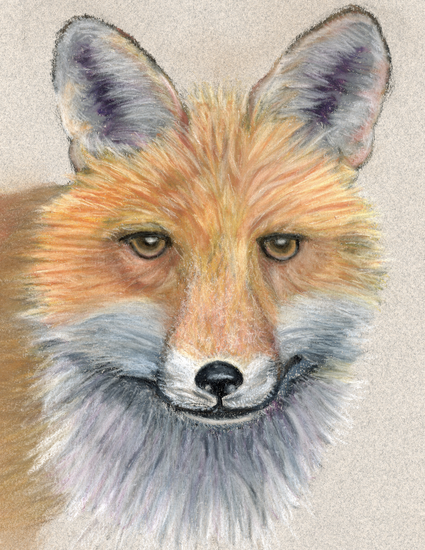 Art Print - Fox