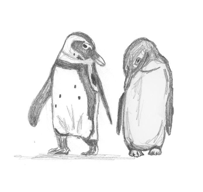 Sketch Print - Penguins in Love