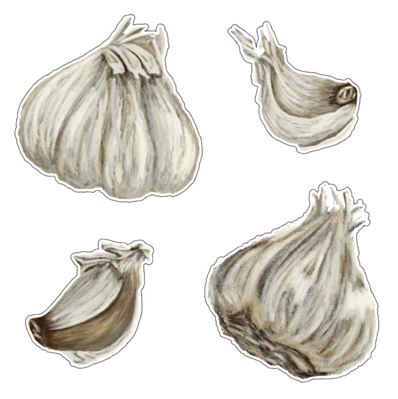Garlic Stickers - Set of 4 Vinyl